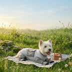 Dog dustproof pants, plaid leash, spring/summer, full-coverage, footed, outdoor, dirt-proof, waterproof pet clothing