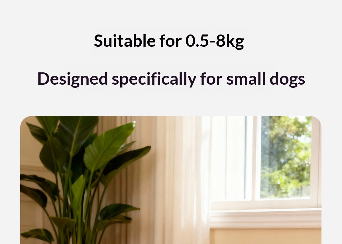 Dog leash, harness, vest style, for small dogs like Bichon Frise and Pomeranian, pet harness, dog leash, pet supplies