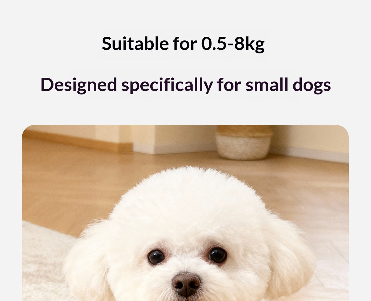 Dog leash vest for Pomeranian, Teddy, Bichon Frise puppies, and other small breeds; dog harness, leash, and dog chain