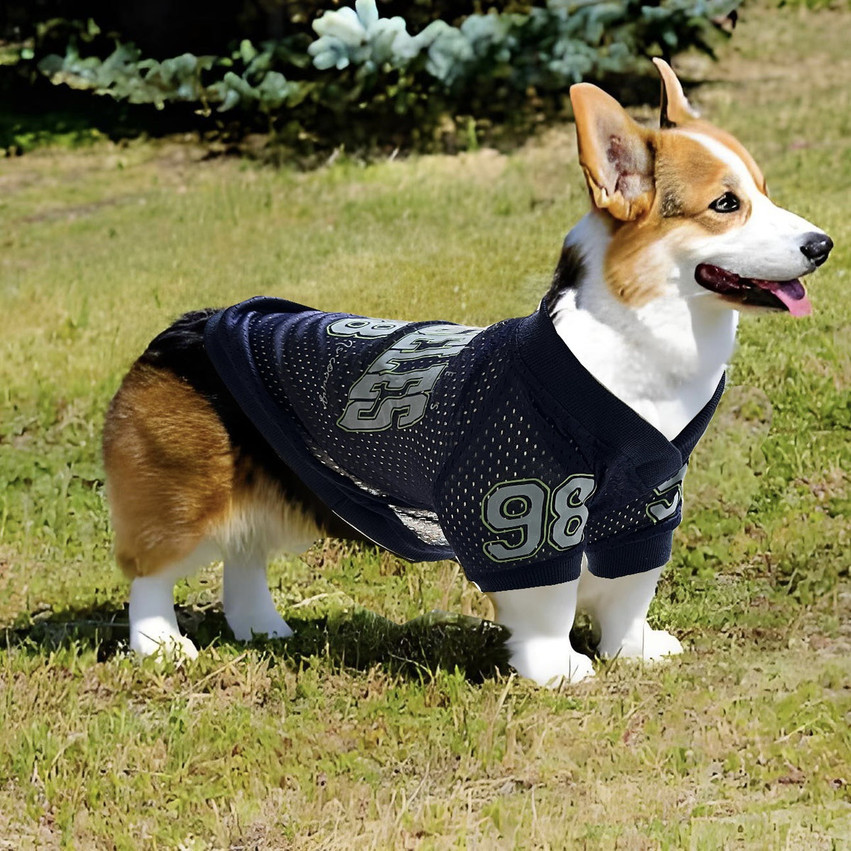 2025 New American Style Pet Clothing: Breathable Mesh Thin Dog T-Shirt for Teddy, Corgi, and Schnauzer - Cooling Style