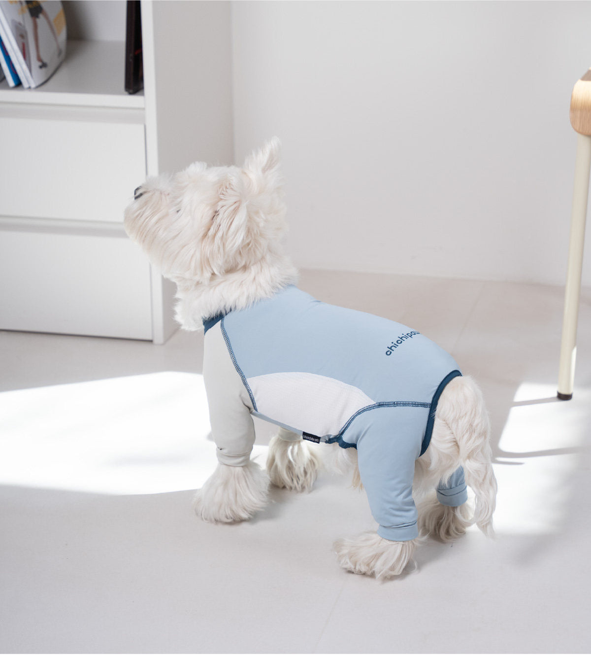 Pet sun protection clothing, four-legged dog cooling clothing, skin-protecting clothing to prevent hair flying and cool down, suitable for medium and large dogs in summer
