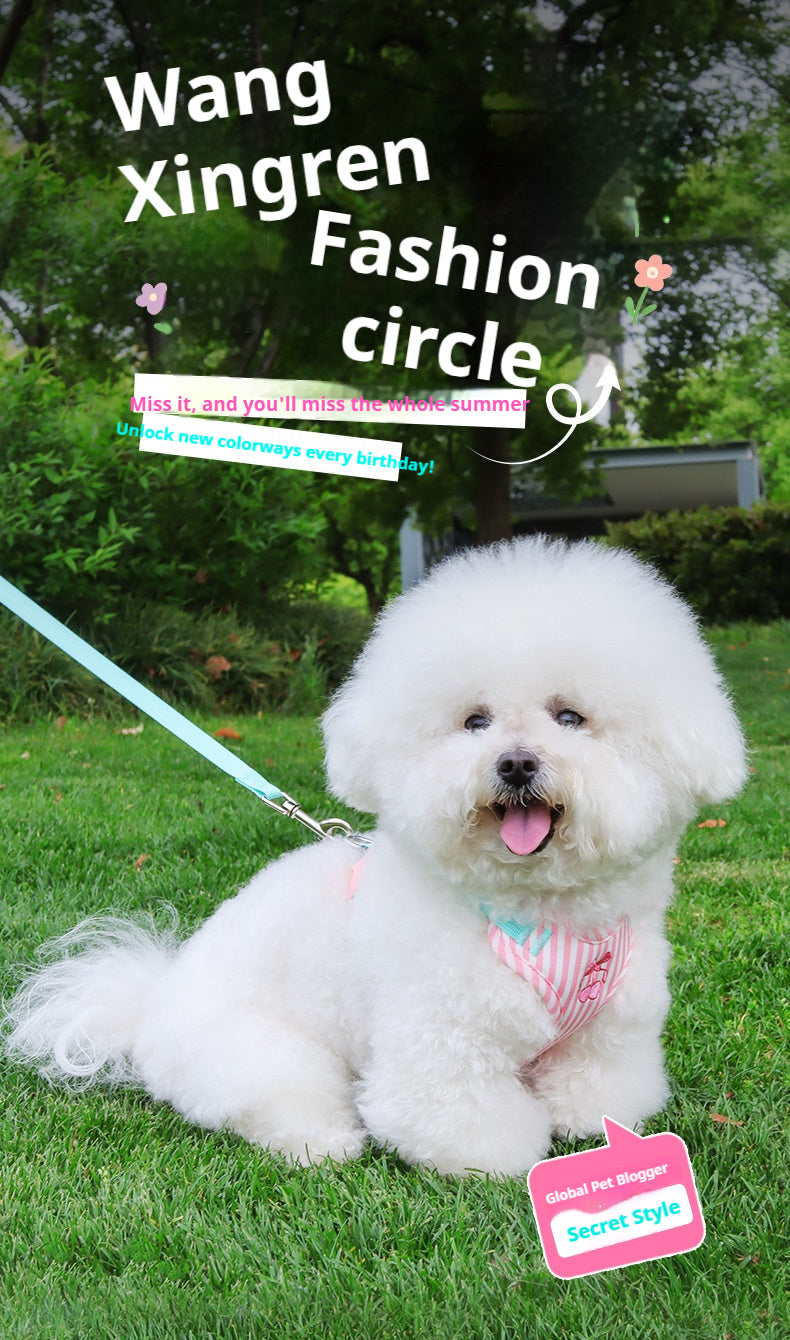 Pet vest-style harness, small dog leash, anti-escape, cute dog rope, small and medium-sized dog leash