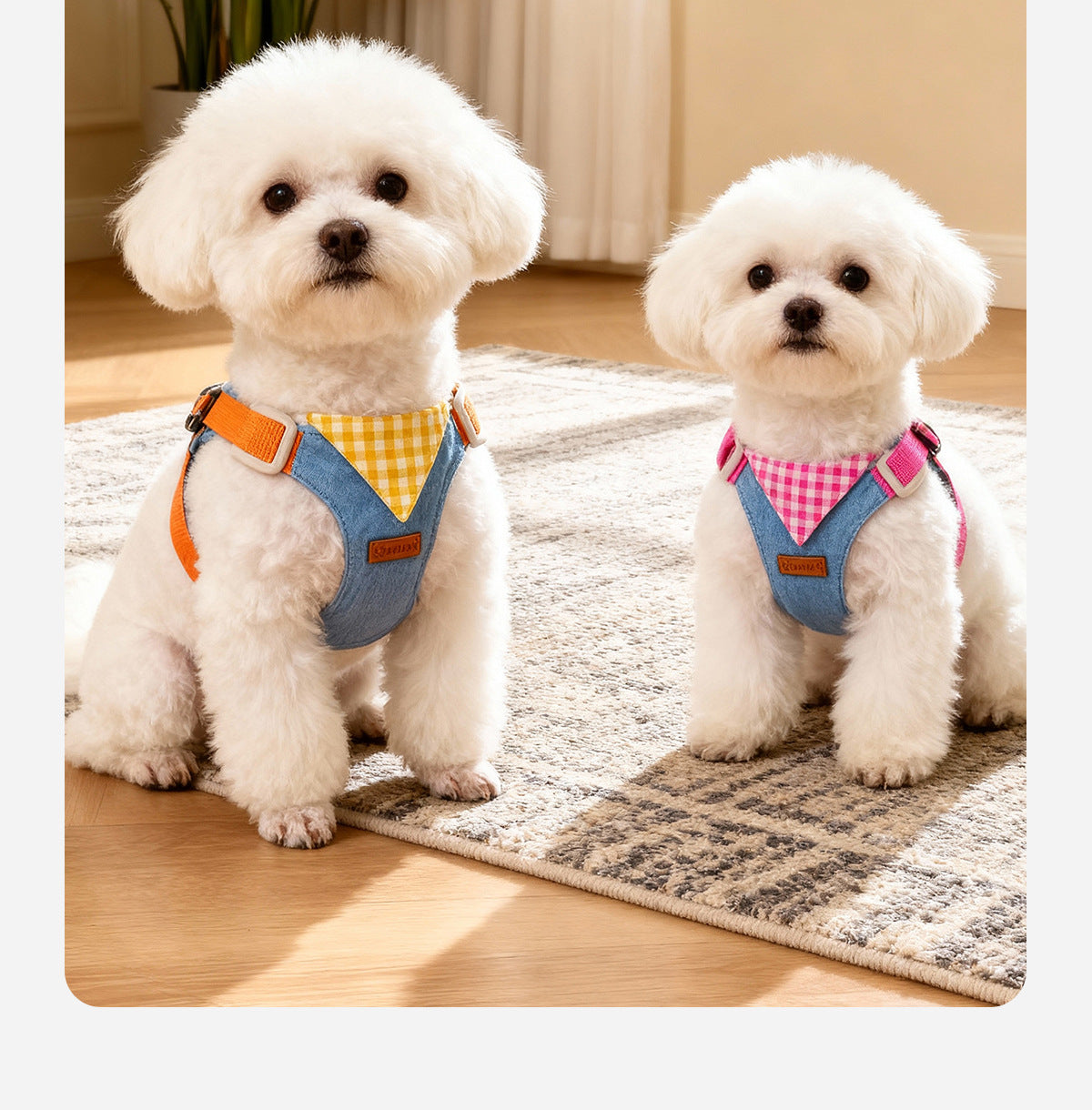 Dog leash, harness, vest style, for small dogs like Bichon Frise and Pomeranian, pet harness, dog leash, pet supplies