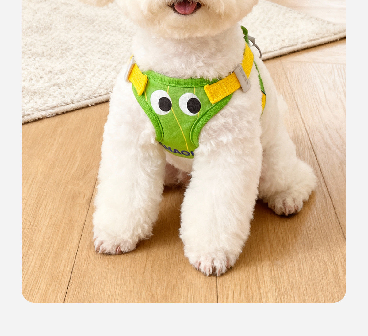 Dog leash vest for Pomeranian, Teddy, Bichon Frise puppies, and other small breeds; dog harness, leash, and dog chain