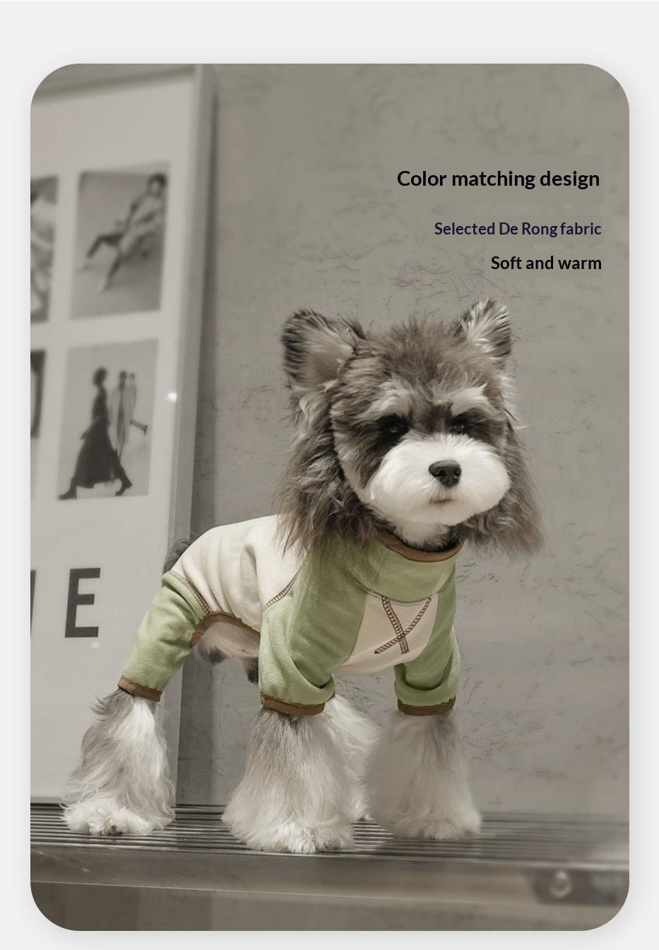 Dog clothes for autumn and winter, four-legged base layer, Schnauzer, high collar, color-blocked, warm, fleece-feel basic puppy clothes wholesale