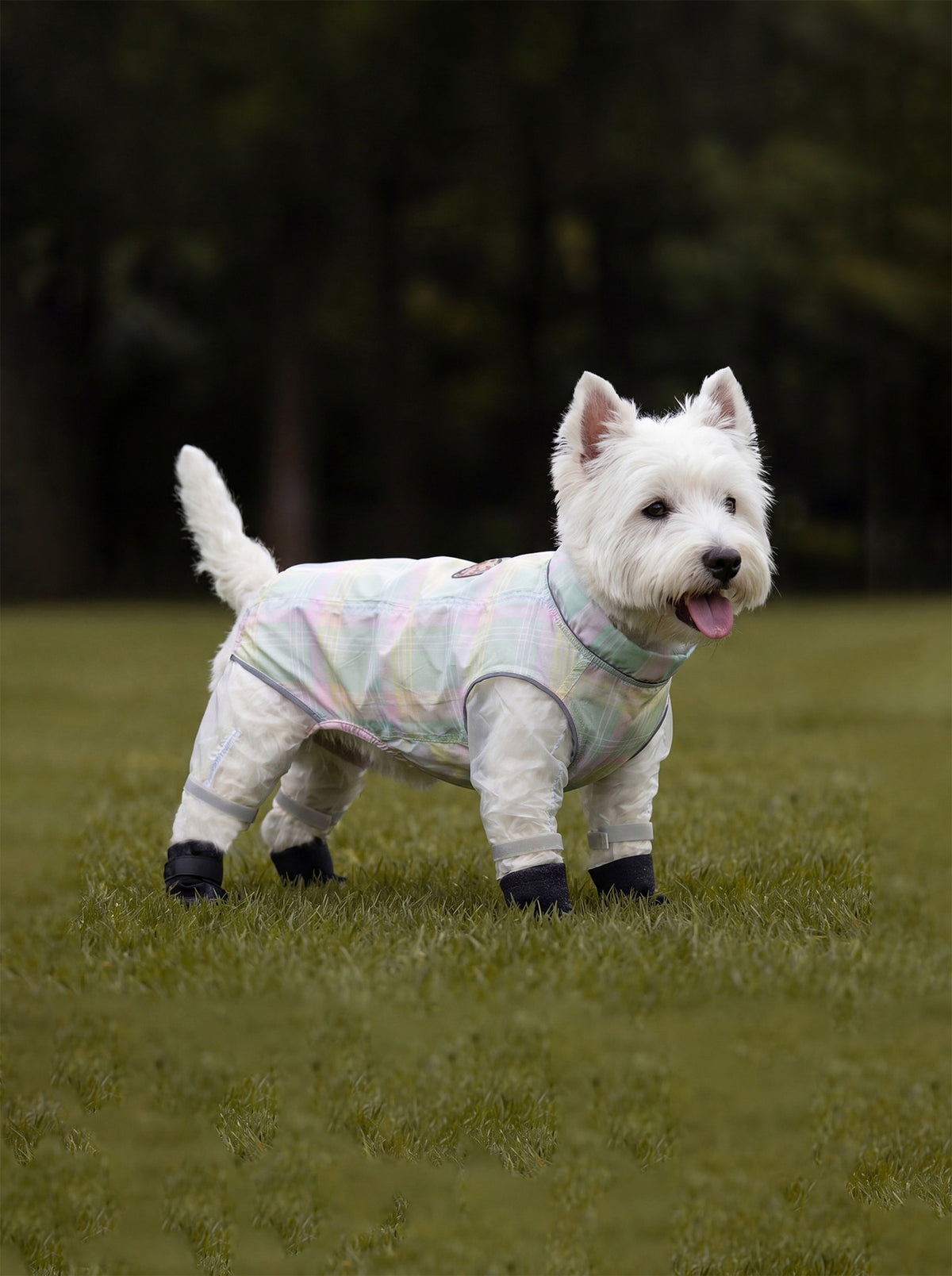 Dog dustproof pants, plaid leash, spring/summer, full-coverage, footed, outdoor, dirt-proof, waterproof pet clothing
