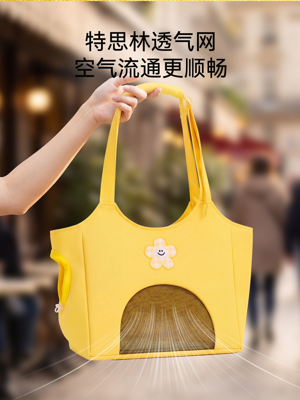 Seasonal pet cute travel canvas bag for small dogs Shih Tzu Teddy outdoor bag dog bag single-shoulder portable cat bag