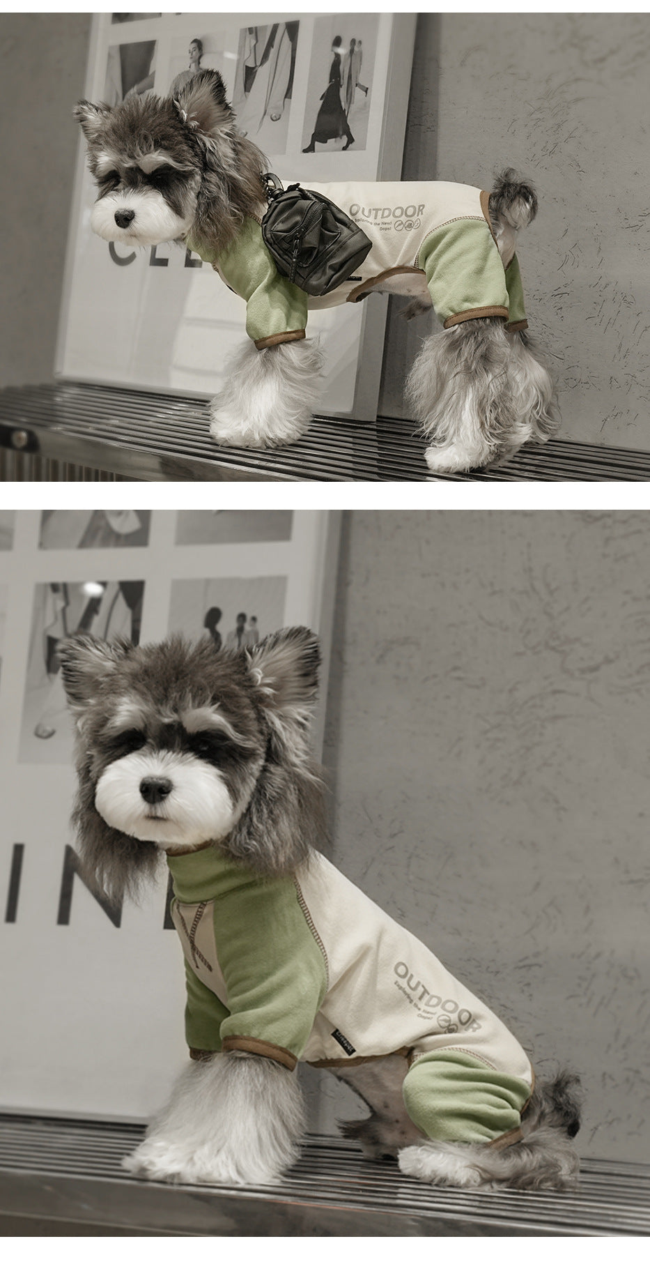 Dog clothes for autumn and winter, four-legged base layer, Schnauzer, high collar, color-blocked, warm, fleece-feel basic puppy clothes wholesale