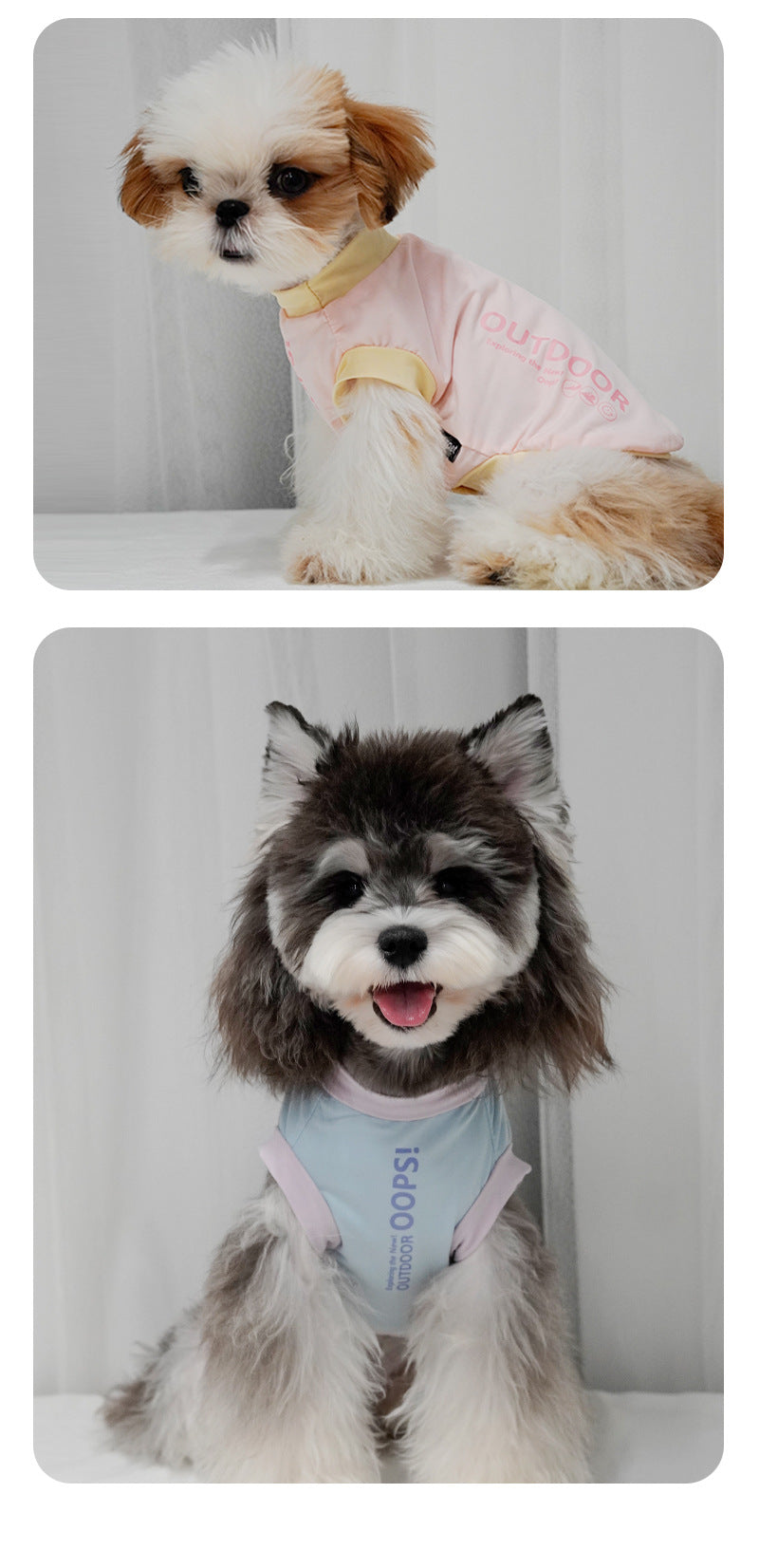Cool-feet color-blocked breathable outerwear for Bichon Frise and Schnauzer dogs, suitable for spring and summer. Wholesale puppies and cats
