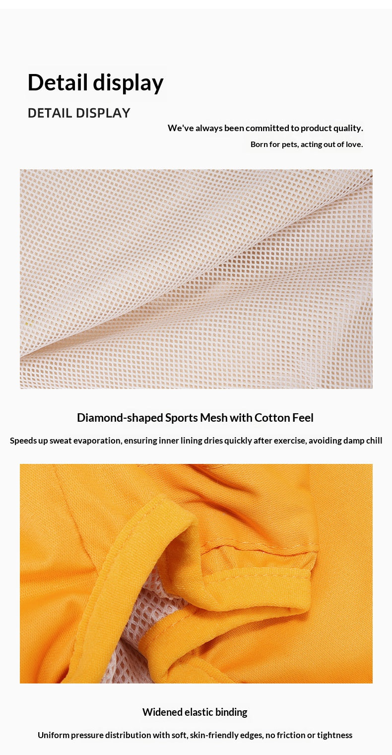 Waterproof raincoat for dogs, four-legged, full-coverage, suitable for large Golden Retrievers, outdoor use, and to protect pets from dirt