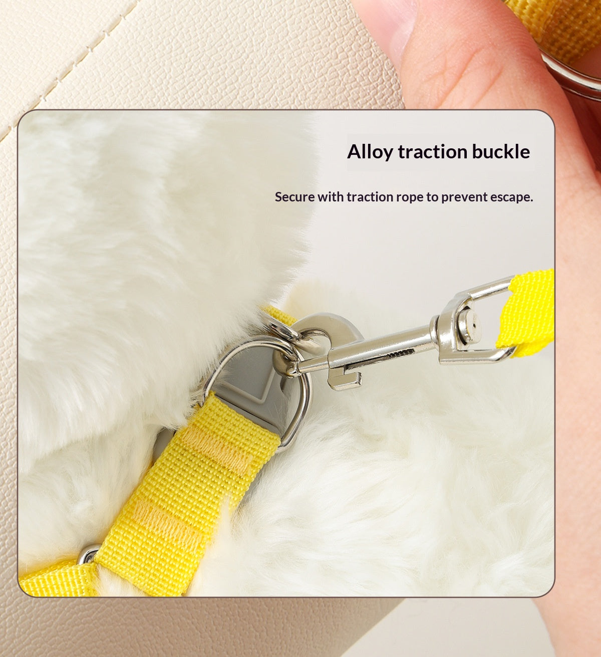 Dog leash vest for Pomeranian, Teddy, Bichon Frise puppies, and other small breeds; dog harness, leash, and dog chain