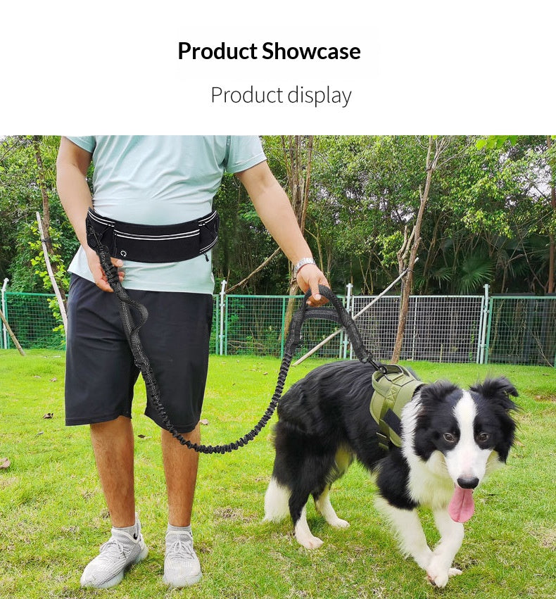 Cross-border explosion-proof running dog leash, nylon reflective multi-functional stretchable sports waist bag, pet leash