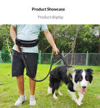Cross-border explosion-proof running dog leash, nylon reflective multi-functional stretchable sports waist bag, pet leash