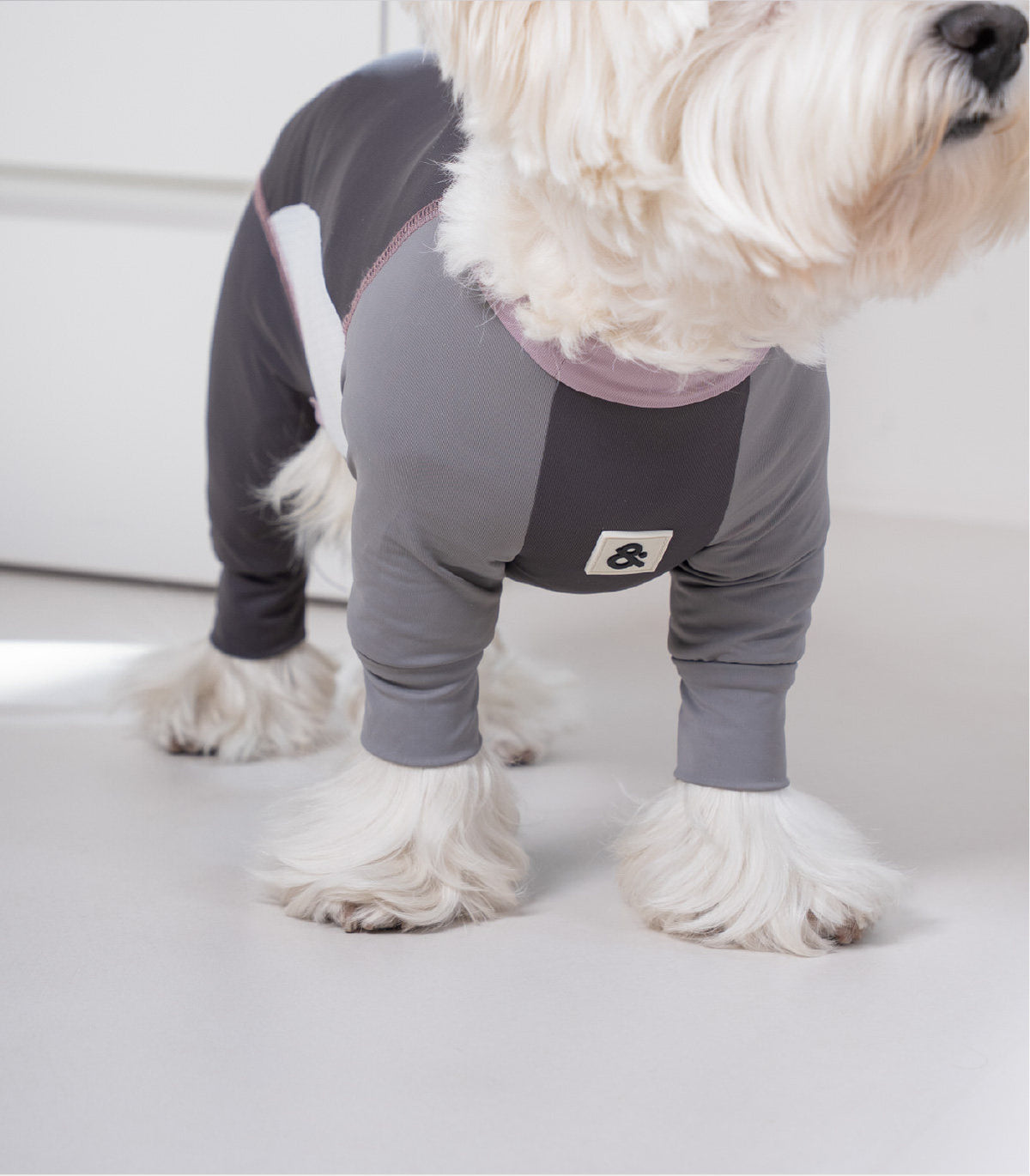 Pet sun protection clothing, four-legged dog cooling clothing, skin-protecting clothing to prevent hair flying and cool down, suitable for medium and large dogs in summer