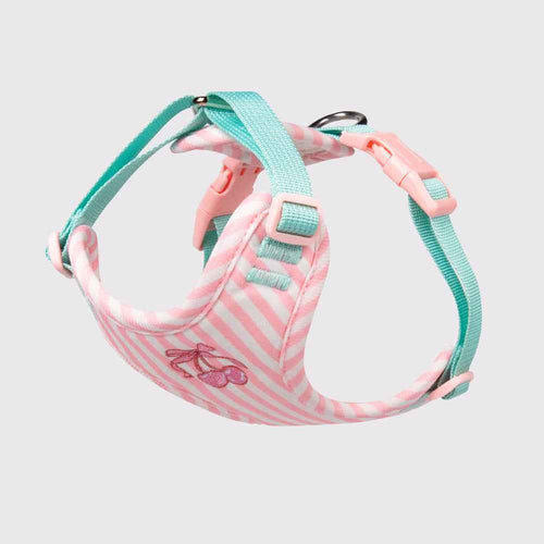Pet vest-style harness, small dog leash, anti-escape, cute dog rope, small and medium-sized dog leash - Everlasting Paws