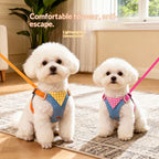 Dog leash, harness, vest style, for small dogs like Bichon Frise and Pomeranian, pet harness, dog leash, pet supplies