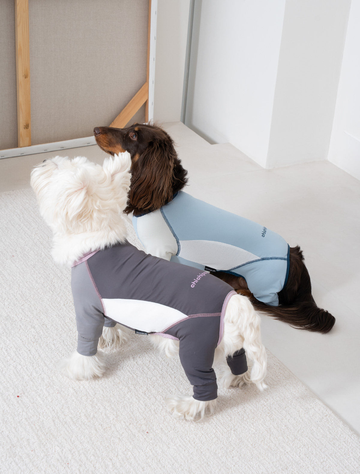 Pet sun protection clothing, four-legged dog cooling clothing, skin-protecting clothing to prevent hair flying and cool down, suitable for medium and large dogs in summer