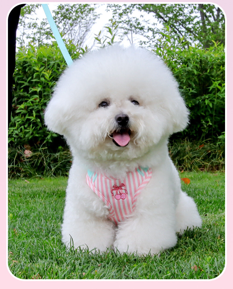 Pet vest-style harness, small dog leash, anti-escape, cute dog rope, small and medium-sized dog leash