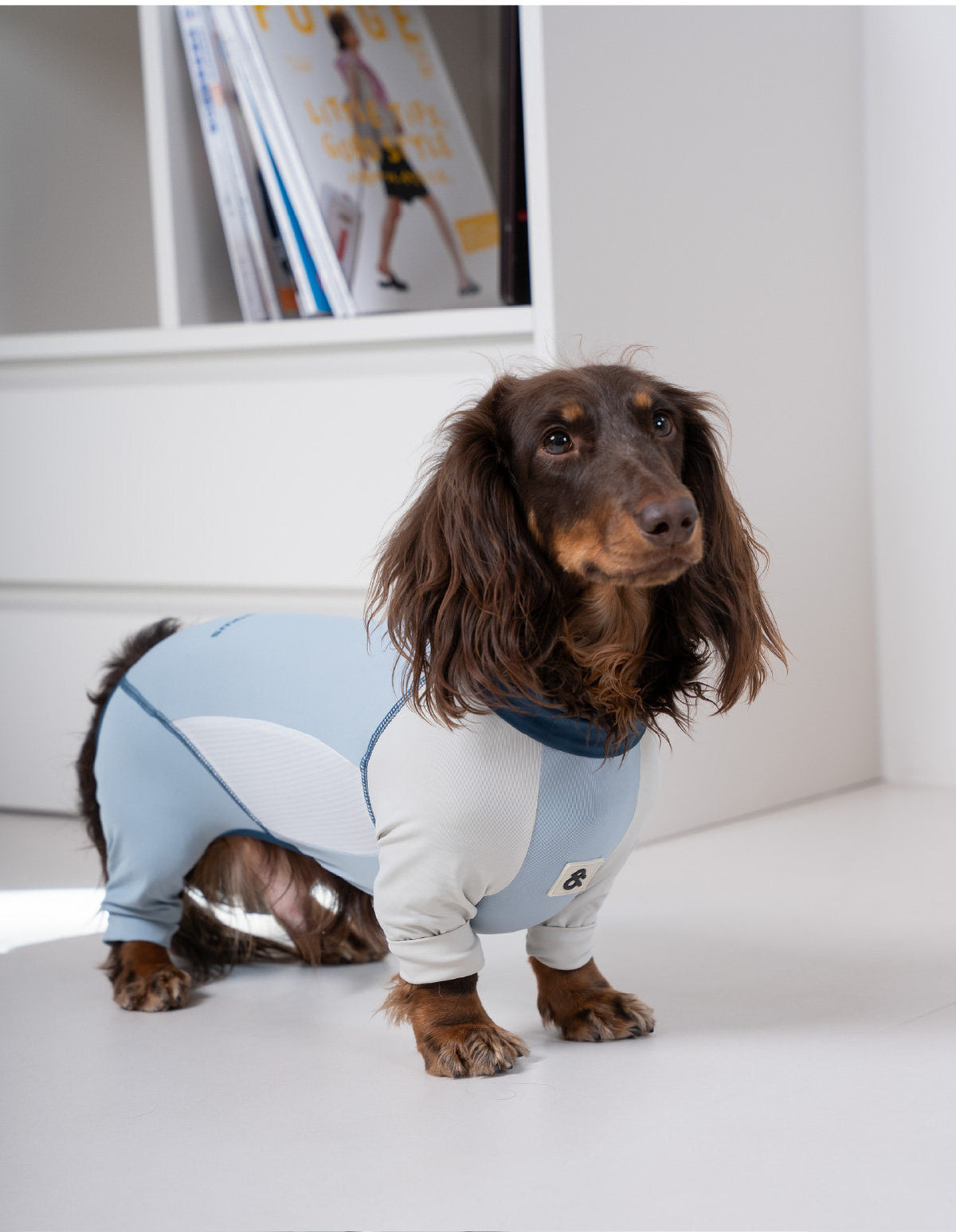 Pet sun protection clothing, four-legged dog cooling clothing, skin-protecting clothing to prevent hair flying and cool down, suitable for medium and large dogs in summer