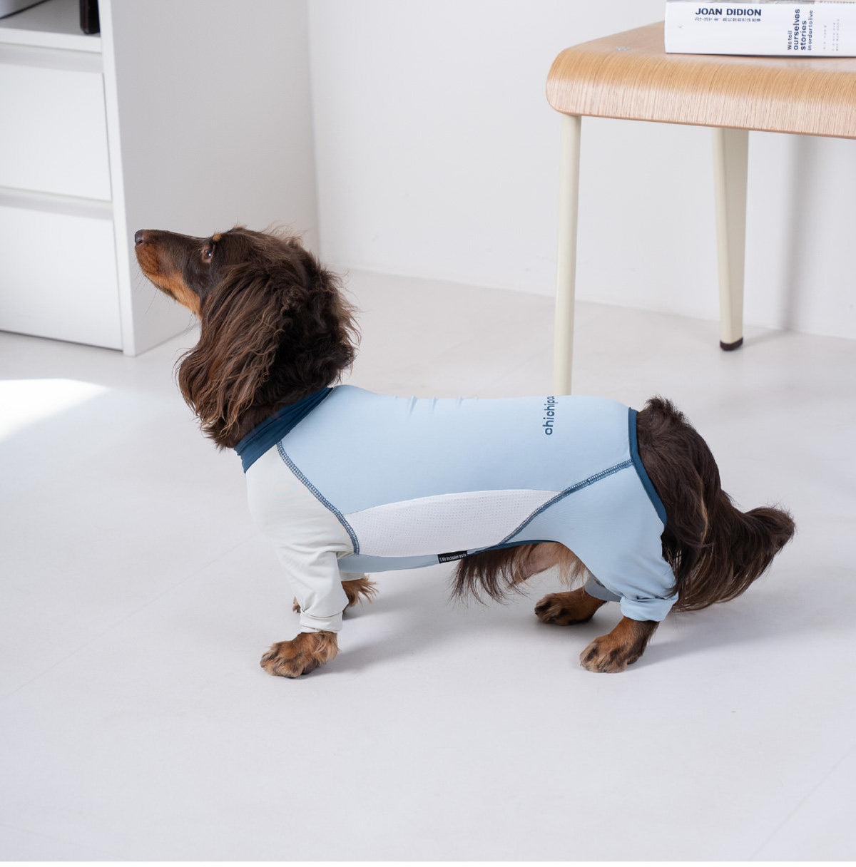 Pet sun protection clothing, four-legged dog cooling clothing, skin-protecting clothing to prevent hair flying and cool down, suitable for medium and large dogs in summer
