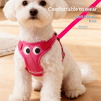 Dog leash vest for Pomeranian, Teddy, Bichon Frise puppies, and other small breeds; dog harness, leash, and dog chain