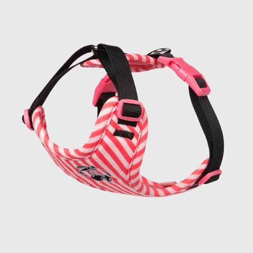Pet vest-style harness, small dog leash, anti-escape, cute dog rope, small and medium-sized dog leash - Everlasting Paws