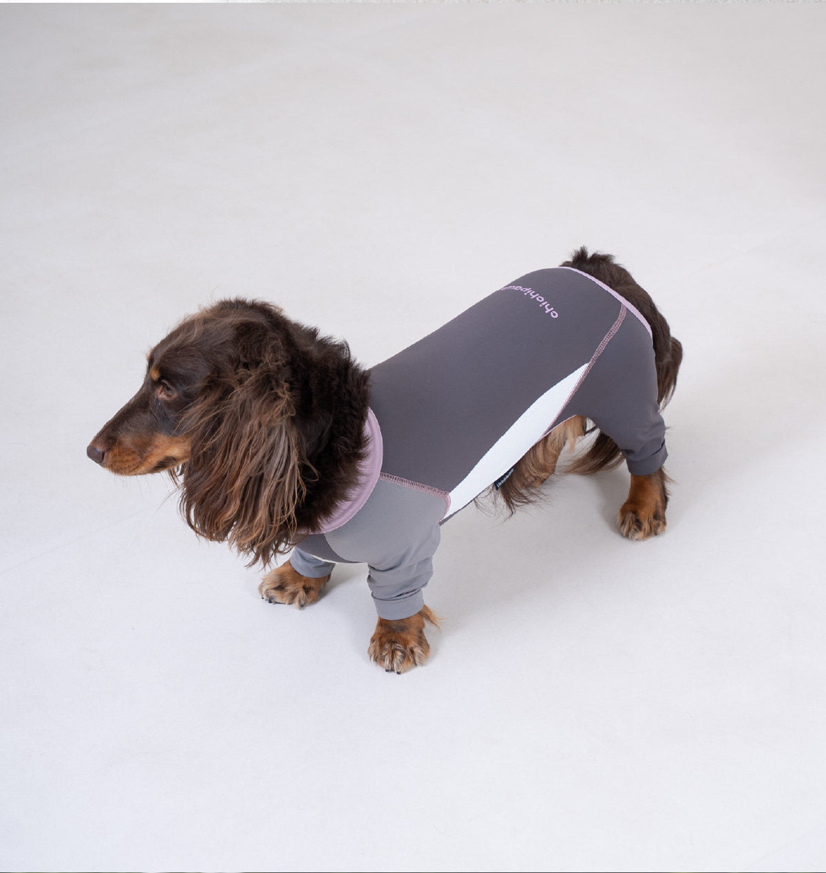 Pet sun protection clothing, four-legged dog cooling clothing, skin-protecting clothing to prevent hair flying and cool down, suitable for medium and large dogs in summer