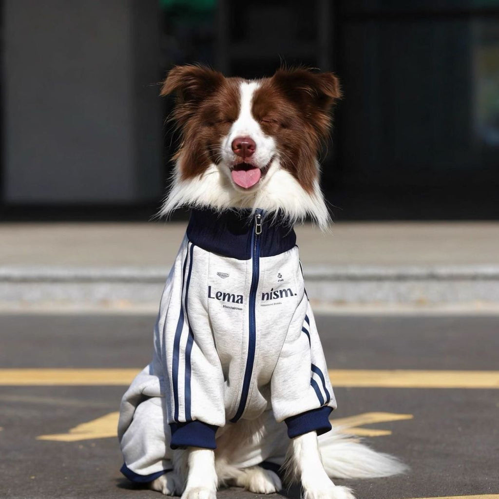 Stylish and trendy new autumn/winter pet clothes for medium and large dogs, including Golden Retriever, Border Collie, and Labrador Retriever fleece-lined warm coats