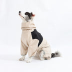 Cross-border medium and large dog breeds Border Collie Labrador Shiba Inu four-legged jacket, waterproof and windproof dog clothes, raincoat