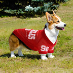 2025 New American Style Pet Clothing: Breathable Mesh Thin Dog T-Shirt for Teddy, Corgi, and Schnauzer - Cooling Style
