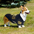 2025 New American Style Pet Clothing: Breathable Mesh Thin Dog T-Shirt for Teddy, Corgi, and Schnauzer - Cooling Style