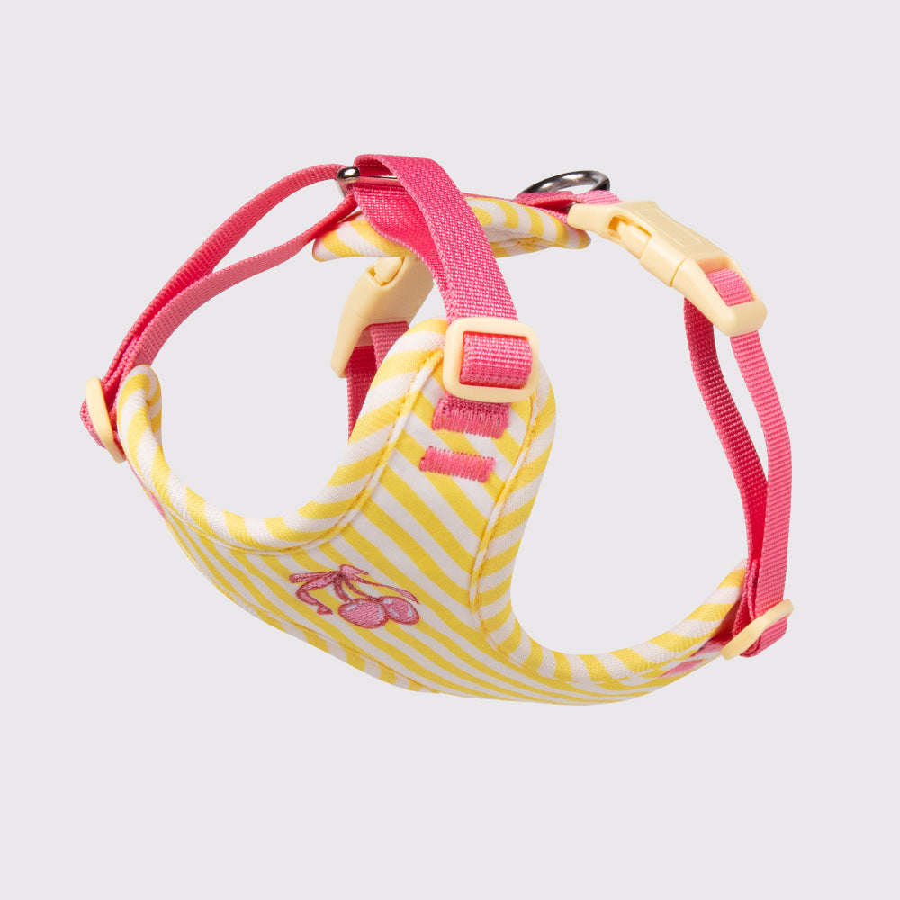 Pet vest-style harness, small dog leash, anti-escape, cute dog rope, small and medium-sized dog leash