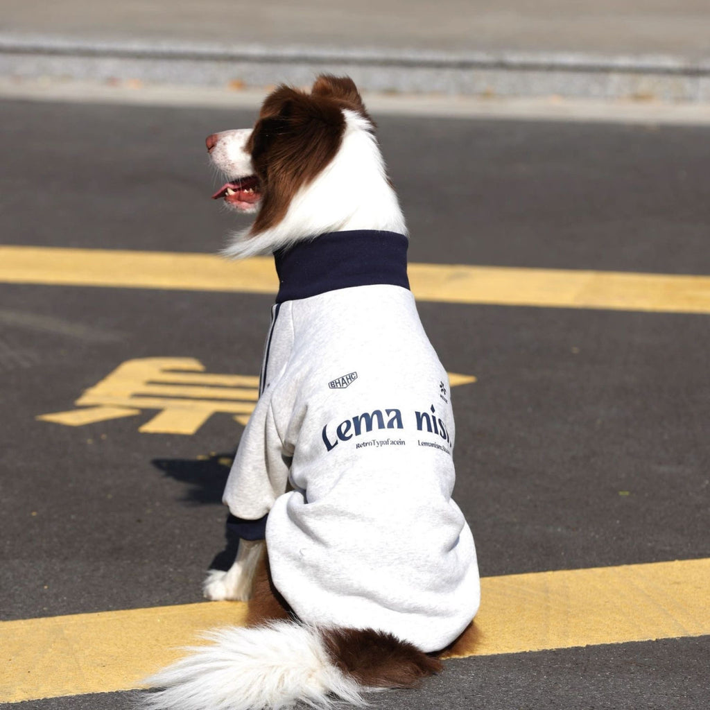 Stylish and trendy new autumn/winter pet clothes for medium and large dogs, including Golden Retriever, Border Collie, and Labrador Retriever fleece-lined warm coats