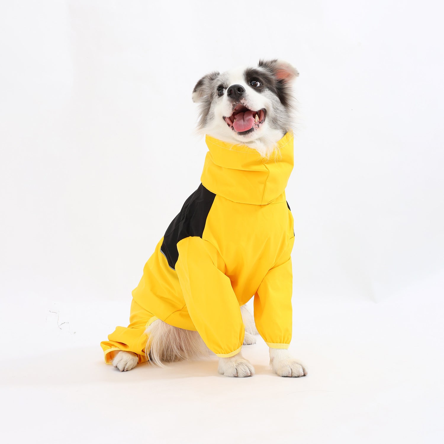 Cross-border medium and large dog breeds Border Collie Labrador Shiba Inu four-legged jacket, waterproof and windproof dog clothes, raincoat