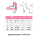 Durable T-shaped comfortable dog leash, dog harness, vest, pet walking leash for small and medium-sized dogs