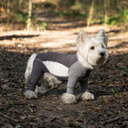 Pet sun protection clothing, four-legged dog cooling clothing, skin-protecting clothing to prevent hair flying and cool down, suitable for medium and large dogs in summer