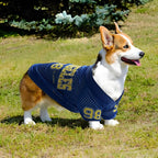 2025 New American Style Pet Clothing: Breathable Mesh Thin Dog T-Shirt for Teddy, Corgi, and Schnauzer - Cooling Style