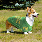 2025 New American Style Pet Clothing: Breathable Mesh Thin Dog T-Shirt for Teddy, Corgi, and Schnauzer - Cooling Style
