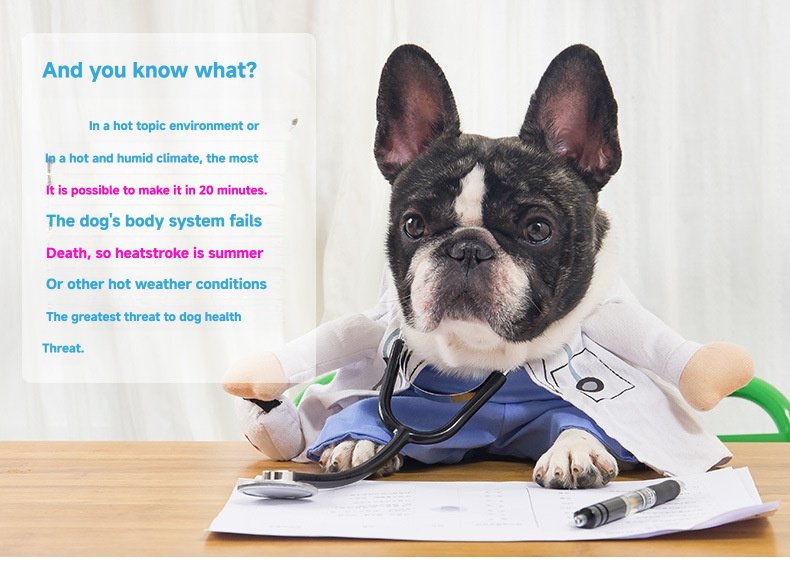 Cross-border factory direct sales of dog cooling vests, pet clothes, summer breathable pet heatstroke prevention and cooling dog clothes