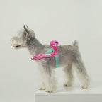 Durable T-shaped comfortable dog leash, dog harness, vest, pet walking leash for small and medium-sized dogs